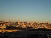 DSC04105-5bb0d.jpg