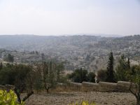 Cueillette_des_olives_058-2-ba758.jpg